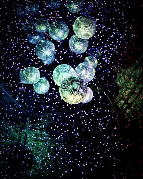 Butterfly Theme Decoration